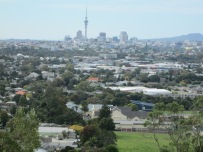 The view from Mt Albert on my 'scenic' route home.